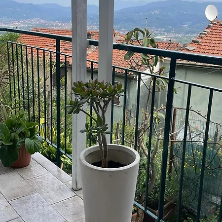 Appartamento Trebiano A Casa Dei Nonni