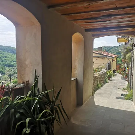 Trebiano A Casa Dei Nonni * Arcola