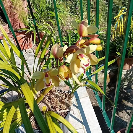 Trebiano A Casa Dei Nonni 阿尔科拉