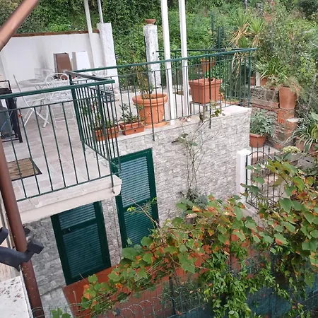 Trebiano A Casa Dei Nonni *