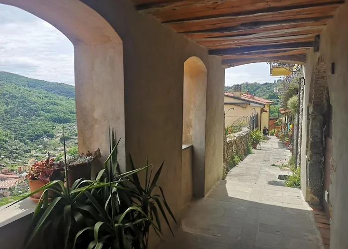 Trebiano A Casa Dei Nonni * Arcola